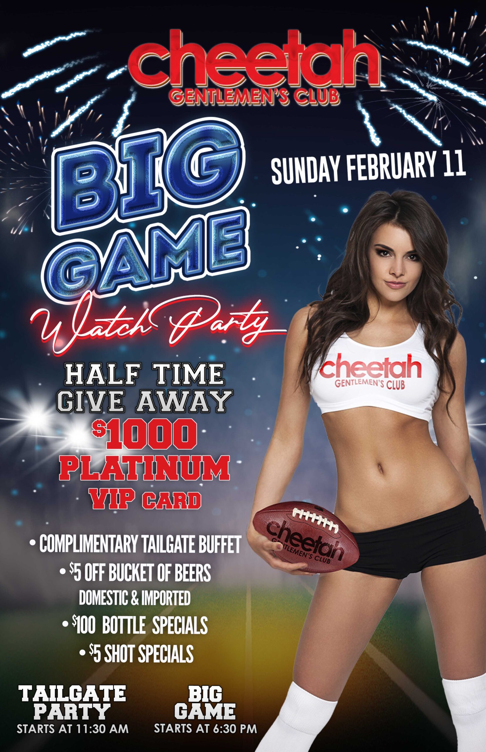 Cheetah of FL Superbowl2024 11x17 scaled