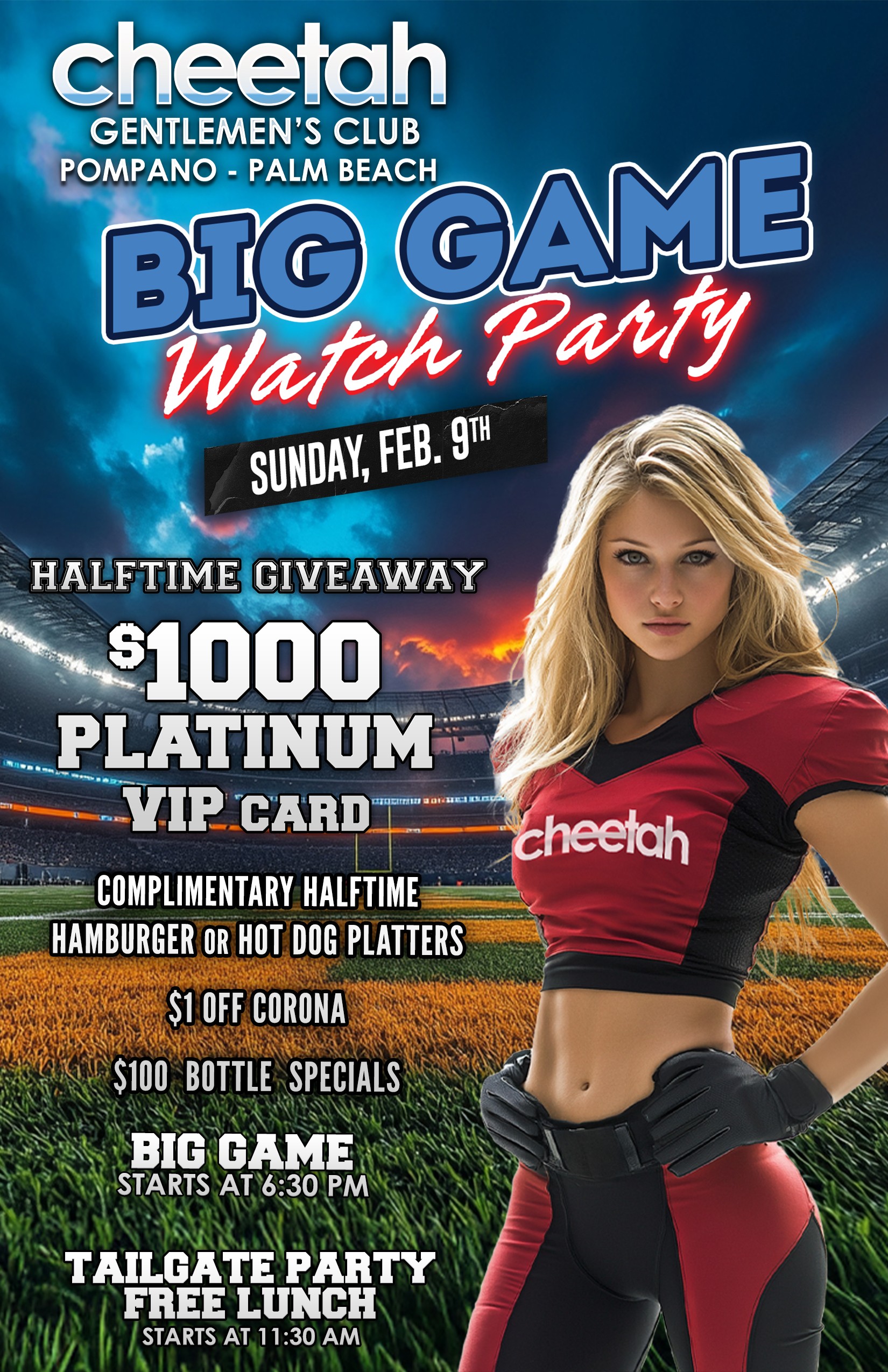 Superbowl2025 poster